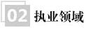 從業(yè)領域